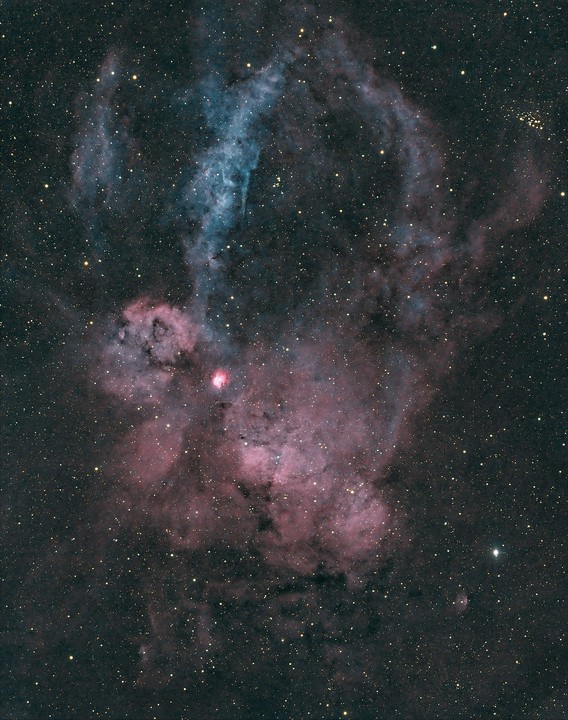 LobsterClawNebula CareNoctem-1704x2160