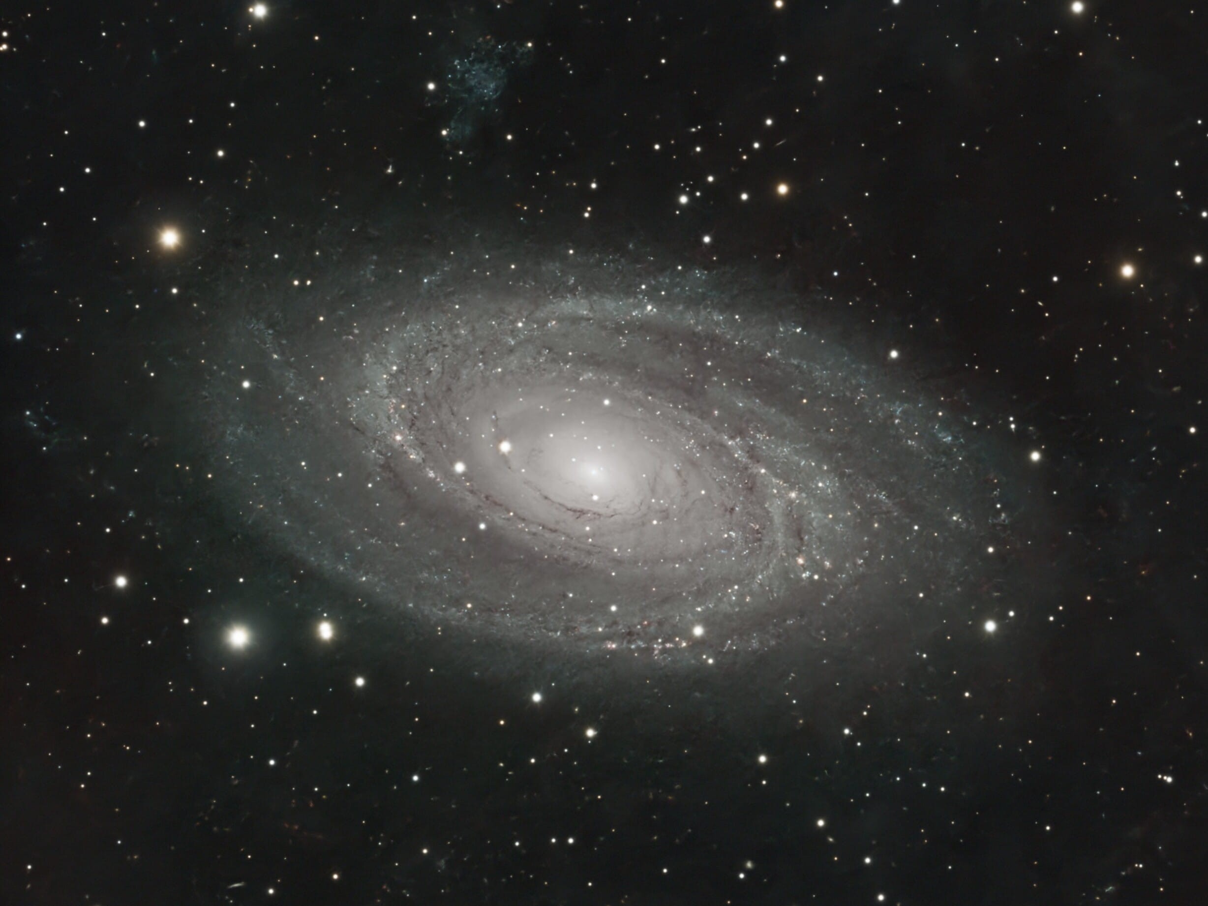 M81 (Messier 81, NGC 3031) - Bode's Galaxy